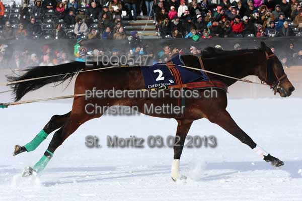 ET0Q0547 prot
